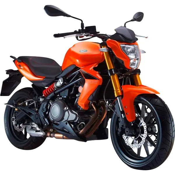 Benelli BN 302