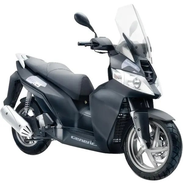 Generic ZION 125