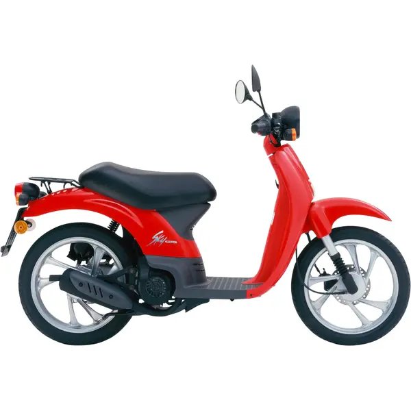 Honda SGX 50 SKY