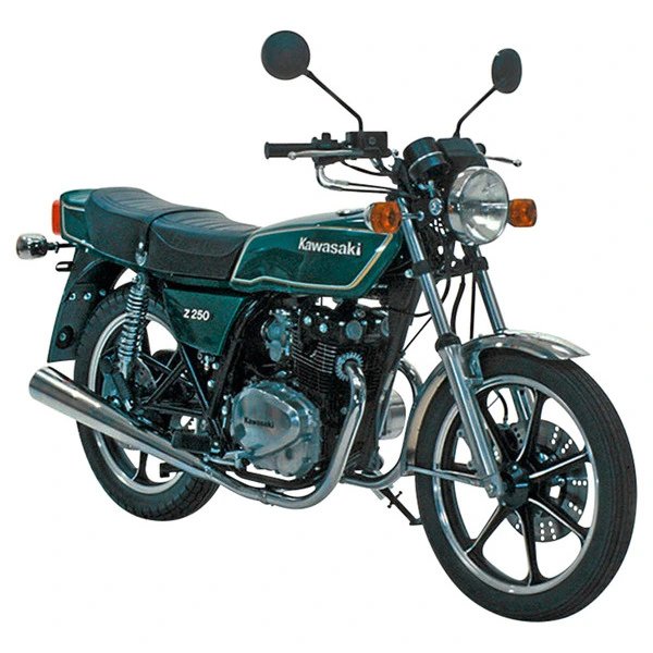 Kawasaki Z 250 (TWIN)