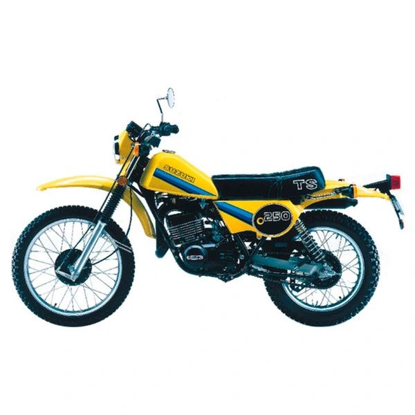 Suzuki TS 250 ER